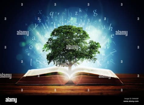 Tree Of Knowledge Stock Photo Alamy