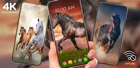 Download Horses Offline Wallpapers Free For Android Horses Offline