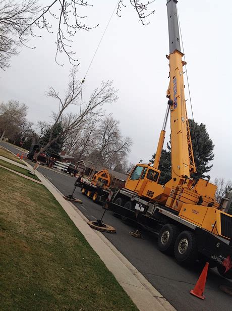 Maybe you would like to learn more about one of these? Fort Collins Tree Removal - Request A Free Estimate Today ...
