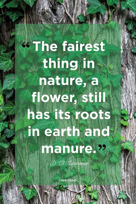 Beautiful Quotes About The Power Of Nature Nature Quotes Nature