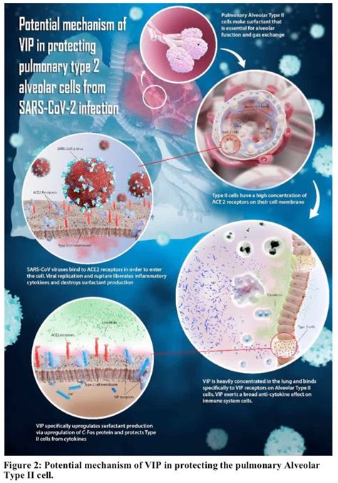Relief therapeutics news & analysen: Relief Therapeutics Discovers A Promising COVID-19 Killer (OTCMKTS:RLFTF) | Seeking Alpha