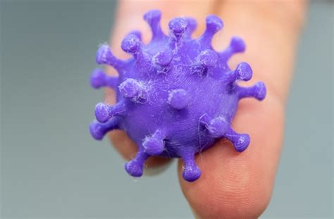 May 28, 2021 | fda. COVID-19: Was ist das Coronavirus? - Wissen - Stuttgarter ...