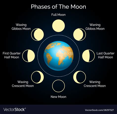 Earth And Lunar Phase Set Royalty Free Vector Image