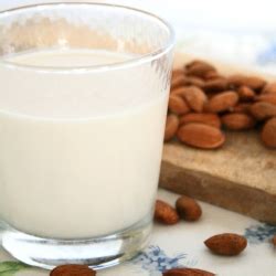 If cats should not drink milk, may cats drink almond or soy milk? Can I Give My Cat Almond Milk? - Can I Give My Cat?