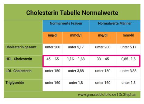 Hdl Cholesterin Normalwerte Tabelle Hot Sex Picture