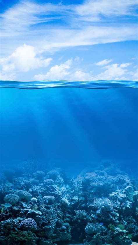 Under Water Iphone Wallpaper Underwater Iphonewallpaper Ocean
