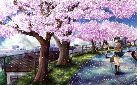 Sakura Flower Anime Wallpapers Wallpaper Cave