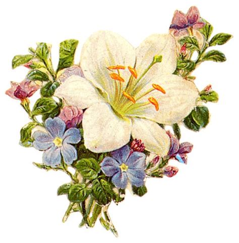 Free Victorian Flowers And Vintage Fruit Clip Art And Borders Hubpages