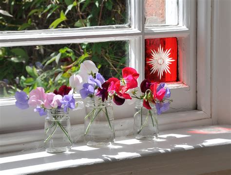 Helen Philipps Flowers On The Window Sill