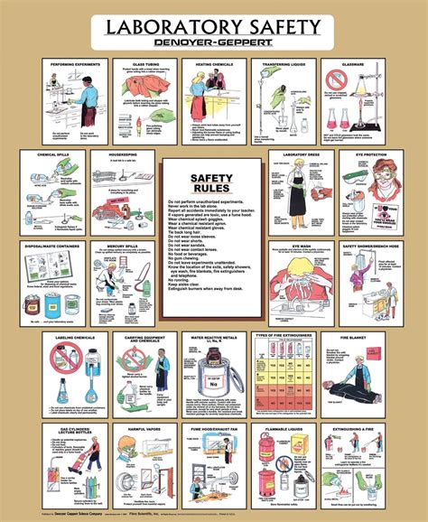 Laboratory Safety Poster Stock Illustrations 585 Labo