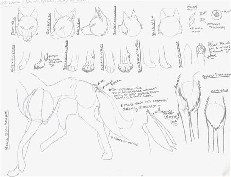 I need help drawing a luciery dragon furry. Pin on Animal Anatomy & Tutorials