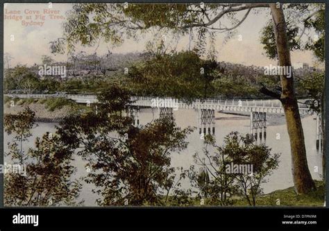 Lane Cove River Bridge Fig Tree Sydney 1908 Stock Photo Alamy