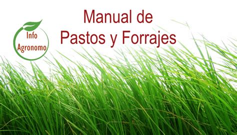 Manual técnico de Pastos y Forrajes InfoAgronomo Pastos para ganado Alimento para ganado
