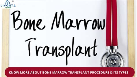 Know More About Bone Marrow Transplant Procedure And Its Types Livonta