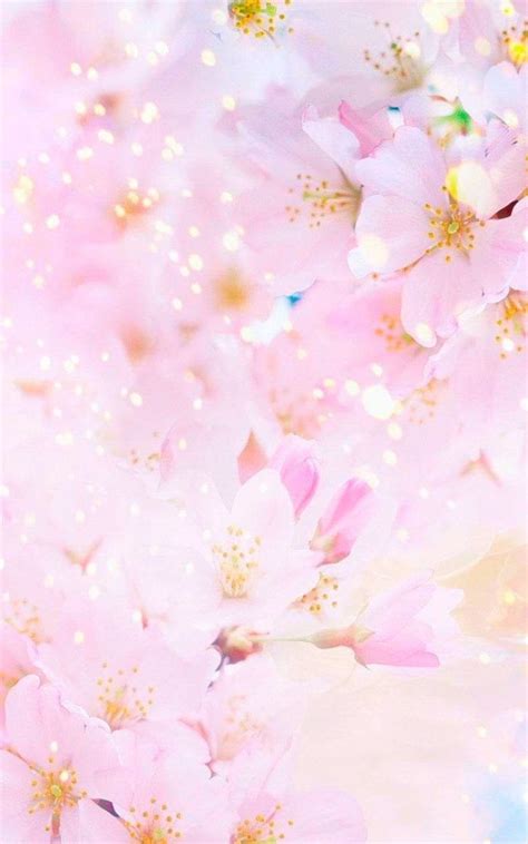 Sakura Earth Spring Blossom Pastel Pink Sunny Flower For You