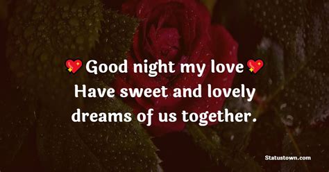 Good Night My Love Have Sweet And Lovely Dreams Of Us Together Good
