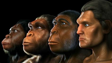 15 Cambios Que Nos Hicieron Humanos Bbc News Mundo Evolucion Del