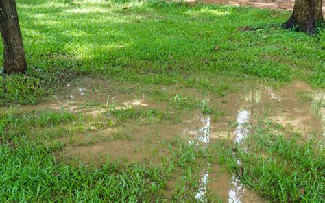 How To Stop Water Runoff From Neighbors Yard 9 Ideas