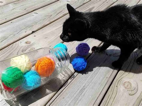20 Diy Cat Toys With Yarn What Cats Love 100 Diy Favorite