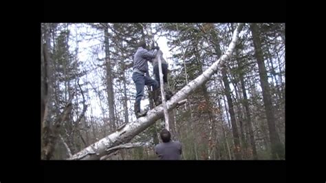 Falling From A Tree Funny Youtube