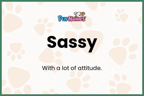 Sassy 🐶 Dog Name Meaning And Popularity ™