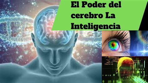 Documentales Interesantes El Poder Del Cerebro La Inteligencia