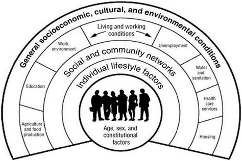 1 The Rainbow Model Of The Social Determinants Of Health Download