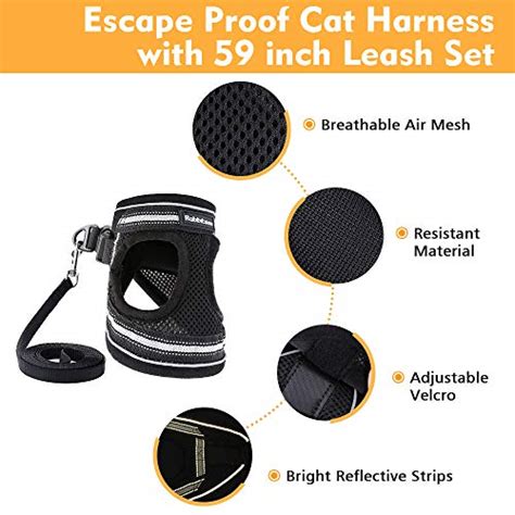 The machine learned model takes into. Best Cat Harness And Leash Set 2020 | Walking Escape Proof