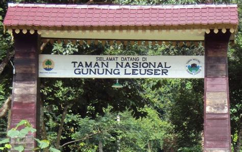 Beberapa Cagar Alam Dan Suaka Margasatwa Di Indonesia Edukasi Center