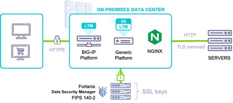 Cloud Scale Hsm And Key Management For Big Ip And Nginx Tls Fortanix