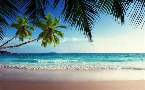 Emerald Sea Paradise Sunshine Beach Sky Tropical Blue Coast Wallpapers Hd Desktop And