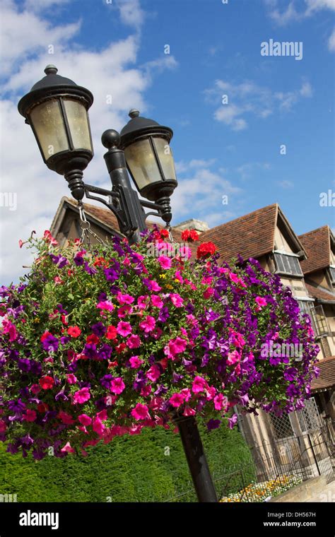 Floral Displays In Full Bloom Hanging From Street Lamp Stock Photo Alamy