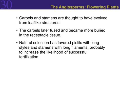Ppt The Evolution Of Seed Plants Powerpoint Presentation Free