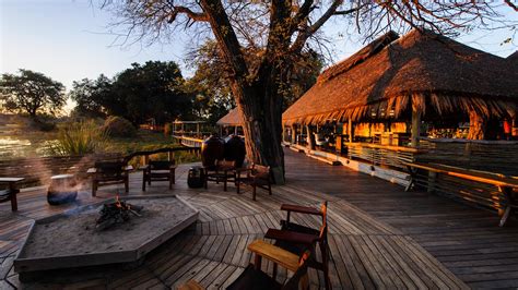Mombo Camp, Botswana - Natural World Safaris