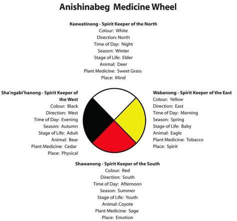 The Four Directions Several Medicine Wheels Native American Medicine