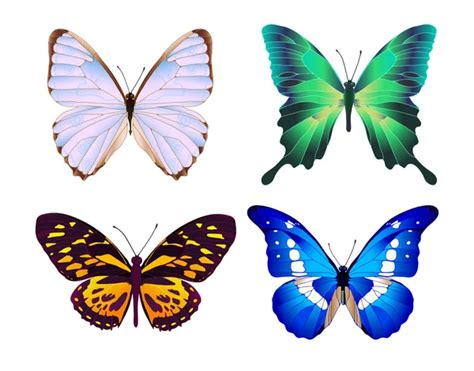 Colorful Collection Of Vector Realistic Butterflies For Design Stock