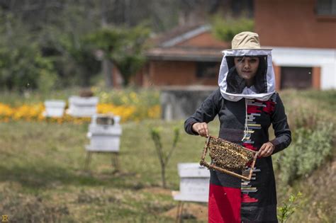 Nepals Honey And Beekeeping Industry Is About More Than Profit