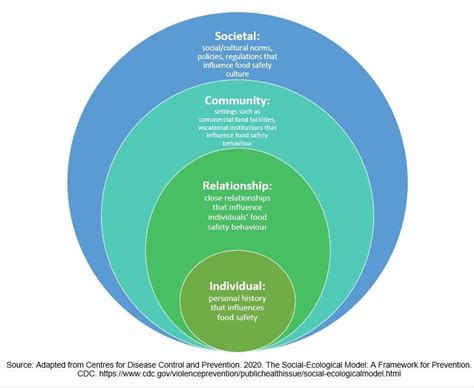 Applying A Social Ecological Model As A Framework For