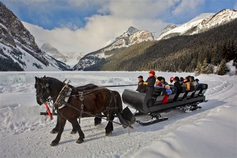 Sleigh Rides In Banff National Park Banff And Lake Louise Tourism