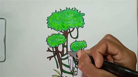 How To Draw Tropical Rainforest Trees Youtube