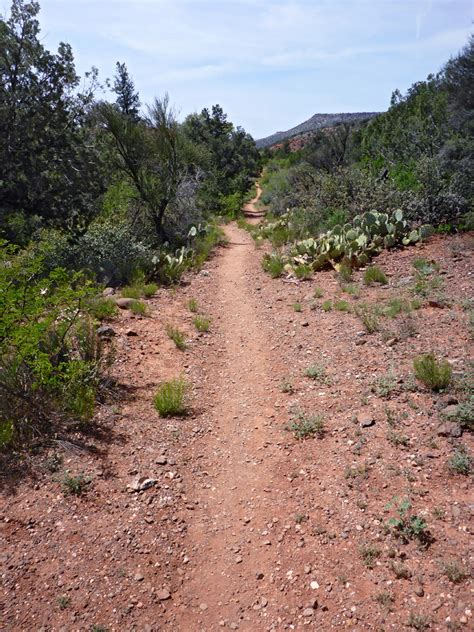 Straight Level Path Woods Canyon Trail Sedona Arizona