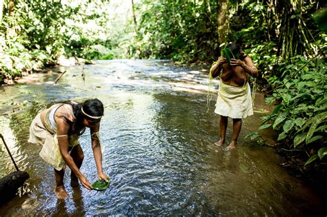 The Water Protectors Of The Amazon Amazon Frontlines