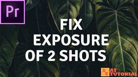 Adobe Premiere Pro Cc Tutorial Fix Exposure Of 2 Shots Youtube