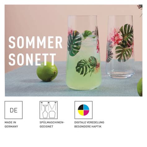 Ritzenhoff Sommersonett Universalgl Ser Set F Von Ramona Rosenkranz Online Kaufen