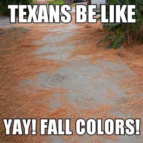 Pin By Karen S Chance On Laughable Texas Weather Texas Humor Texas