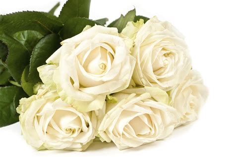 Different Types Of Funeral Flowers Guide To Different Styles And