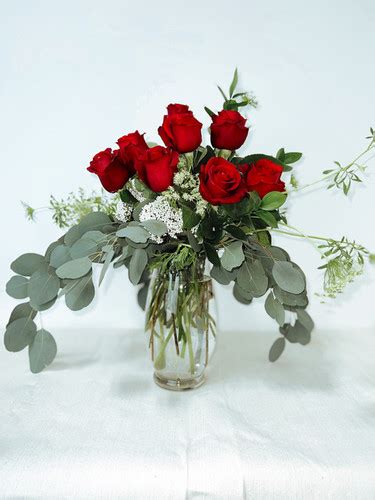 Classic Red Dozen Roses Gina Lynne Design