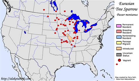 Eurasian Tree Sparrow North American Range Map