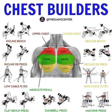 Dumbbell Chest Workout Chest And Back Workout Chest Workout For Men Chest Workout Routine