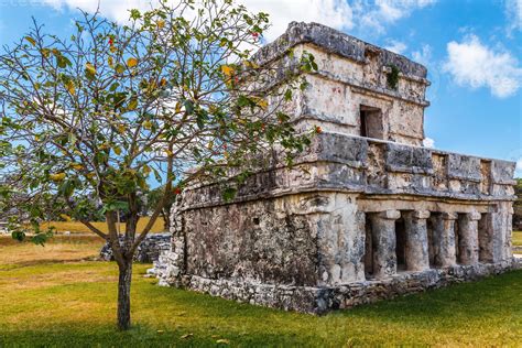 Ancienne Maison Maya En Ruine Avec Arbre à Lavant Tulum Péninsule Du